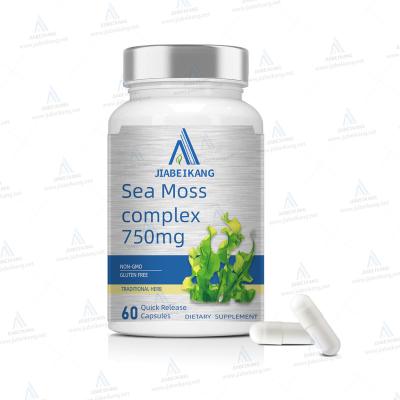 China Increase Immunity Age Seamoss Infinite Sea Moss Capsules With Burdock Root Bladderwrack Powder For Joint Skin Health for sale