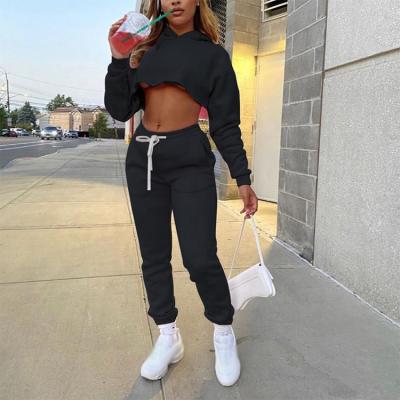 China Winter Autumn Fleece Thickened Long Sleeve Breathable Crop Tops Sporty Cropped Women Sweatshirt Hoodie Tracksuit Two Piece Sets for sale