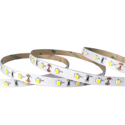 China Residential Waterproof IP67 DC12V SMD 2835 2700K 60/120 LED Per Wire Strip Flexible Strip 2835 LED Multimeter for sale