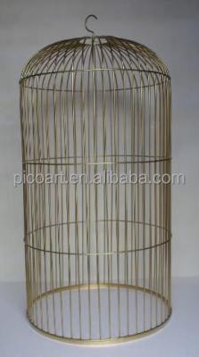 China China Titanium Stainless Steel Art Cage Gold Plated Titanium Birdcage For Decor for sale