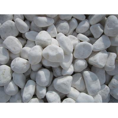 China China Traditional Hot Sale Cheap White Pebble Stone For Garden for sale