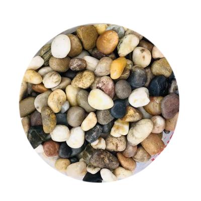 China Cheap Contemporary Garden Gravel Pebble Stones for sale