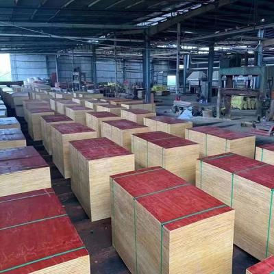 China Wholesale 18mm Traditional Red Black Eucalyptus Hardwood Core Laminated Film Faced Plywood Formwork Plywood for sale