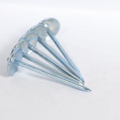 China Linyi Factory Cap Roofing Nails for sale