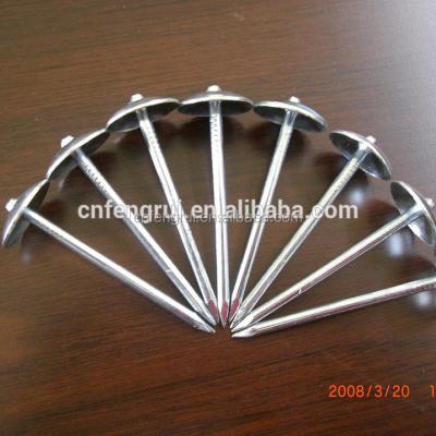 China China factory supply main steel umbrella roofing nails for sale