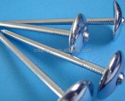 China Twisted or Polished or with Durable Rubber Seal Umbrella Head Galvanized Cover Nails Single Leg Birth Maker for sale