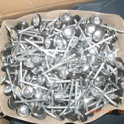 China 12G Steel Ring Leg Covering Nails in Linyi City for sale