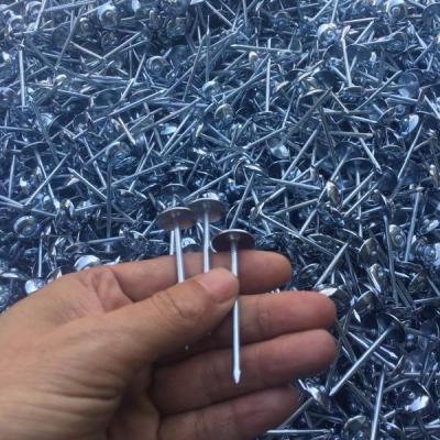 China 12G Steel Galvanized Roofing Nails Price in Linyi City for sale