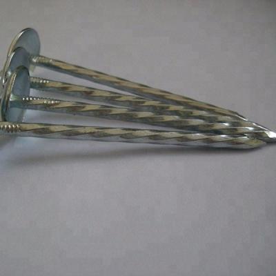 China Twisted cap and main umbrella roofing nails for sale