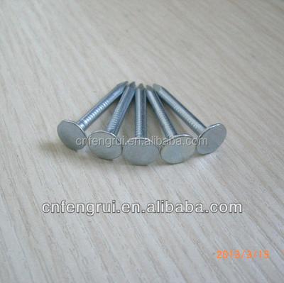 China Iron galvanized cupper nails made in Linyi Fengrui Metals Manufacturing Co.,Ltd for sale