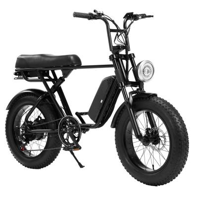 China Customized aluminum alloy 20 inch 500W fat tire ebike electric mountain bike long range bold offroad bicycle for sale