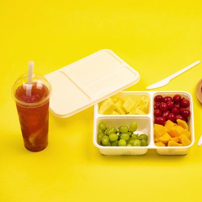 China Restaurant coffee shop cold drink shop diner biodegradable disposable plastic meal pla food container in China for sale