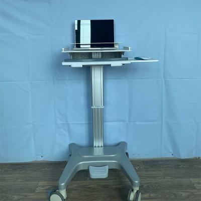 China Traditional Doctor Workstation PC Computer Laptop Nursing Medical Cart Nursing Trolley for sale