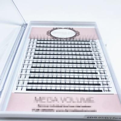 China lashextensions thick pbt easy fan eyelash extension 4D pre made OEM private label eyelash extension volume fans for sale