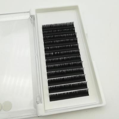 China Long Natural 2020 New Style Silk Lashes Different Matte Fan Eyelash Extensions Wholesale Easy Private Label Eyelash Extensions for sale