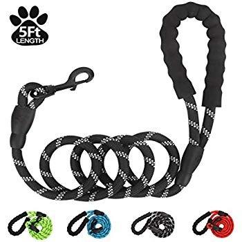 China Wholesale 5 Ft Sustainable Dog Leash With Comfortable Padded Thoughtful Handle Dog Leashes With Collapsible Bowl And Pet Waste Bags for sale