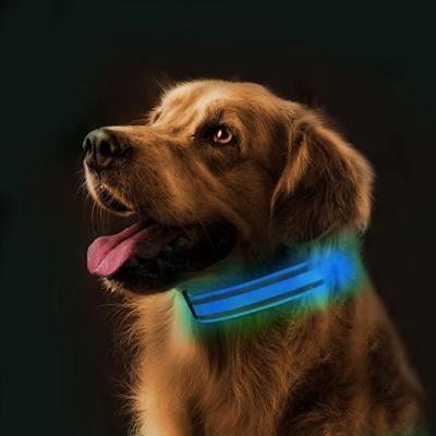 China Safety Adjustable Bright Battery 7 Colors USB Rechargeable Pet Variable Collar Reflective Led Dog Collars With Flashing Light for sale