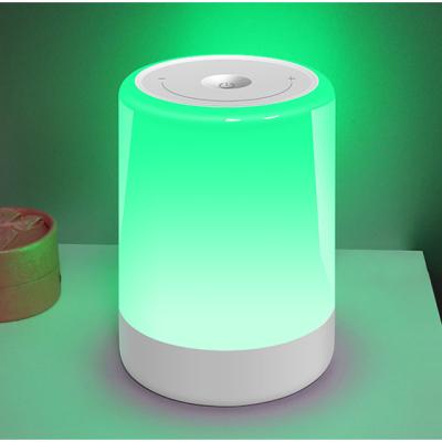 China Modern Rechargeable Night Lights for Baby Shine and Colors Adjustment Stepless Desk Lamp for Bedroom Touch Lights for sale