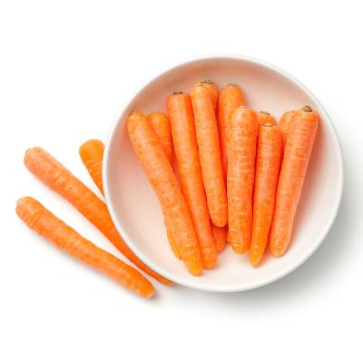 China Chinese wholesale fresh carrots the other fresh vegetable fresh carrot cultivation new for sale