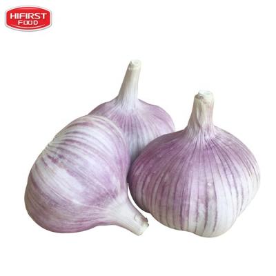 China 2021 ready 6.0cm high quality Chinese normal white color garlic fresh red 4.5cm 5.5cm specification to ship fresh garlic from China for sale