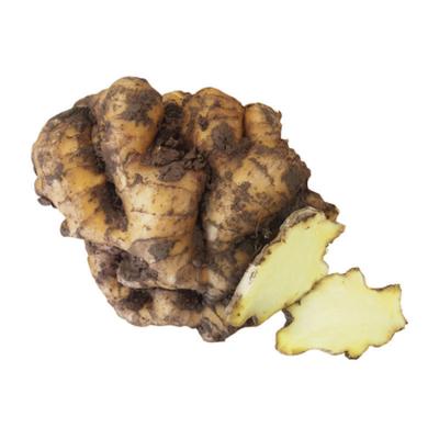 China Fresh Ginger Root Low Price Healthy From Freshginger From Shandong China Yellow Chinese Fresh Ginger For Export for sale