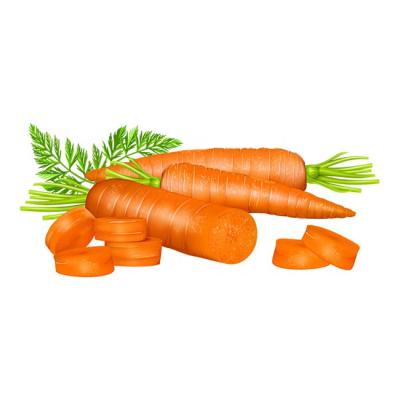 China China Fresh Export 80-150g Fresh Carrot Cartons Low Price Shandong Xiamen Origin Chinese Fresh Vegetable Carrots for sale