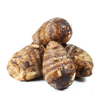 China Chinese wholesale low price Tarofresh fresh vegetables 2021 new healthy fresh taro cultivation export for international market for sale