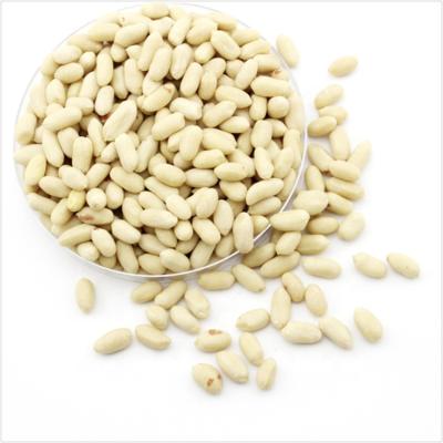 China China Shandong Origin Low Price Peanut Kernel China Shandong Dry Blanched Raw Peeled Nuts For Sale Size 25/29 for sale