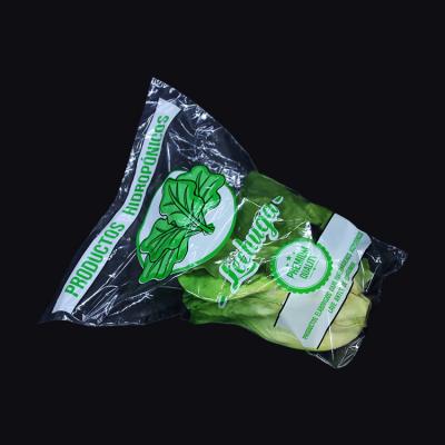 China Recyclable High Quality Cellophane Bag Lettuce Bag Trapezoid Packaging Vegetable Bag Factory Manufacture Te koop