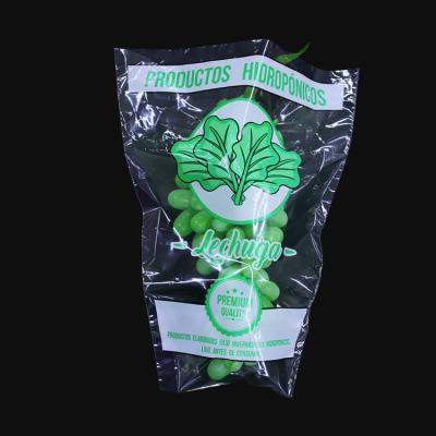 China Popular Recyclable CPP OPP Lettuce Plastic Bag With Holes Poly Bags Packaging Food Grade Vegetable Clear Transparent Logo Custom Printing Te koop