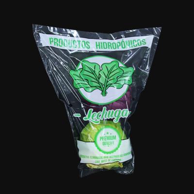 China Poly Bags CPP OPP Lettuce Recyclable Vegetable Plastic Bag With Holes Packing Clear Custom Logo Printing Transparent Flower Sleeve Te koop