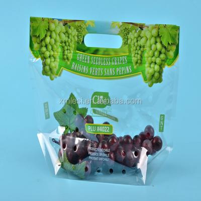 Chine Security Recycle Custom Printed Plastic Grape Packaging PP Ziplock Bag With Hole Punch à vendre