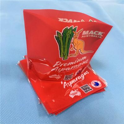 China Eco-friendly Recyclable Custom Printed Bottom Gusset PE Laminated CPP Side Seal Bag For Plants Packing à venda