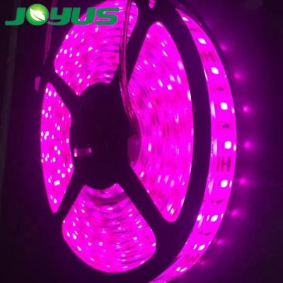 China Seed Starting Outdoor Full Spectrum Led Grow White Pink Purple Color smd5730 60 leds/m 18W IP68 Waterproof 12V Strip Lights Strip 1# for sale