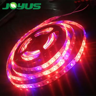 China seed starting waterproof ip65 led grow lights 450nm 660 1:4 12v smd5630 60 nm leds/m strip lights for plant growth for sale