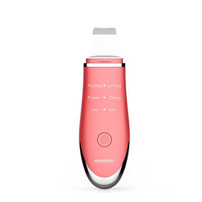 China 2021 Good Quality Beauty Premium Modern Care Skin Scraper DEEP CLEANSING Facial Scrubber for sale