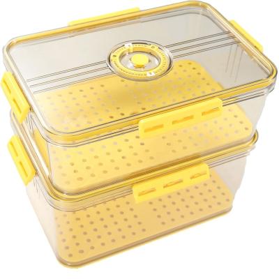 China Folding Frozen Storage Box Fruit Vegetable Fresh Food With Lid Food Protect Date Disc Box for sale