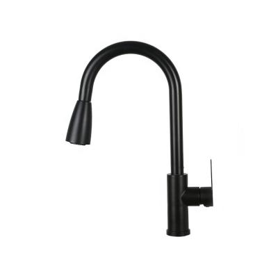 China Modern Hot Popular Low Price Kitchen Faucet 304 Stainless Steel Flexible Faucet Kitchen for sale