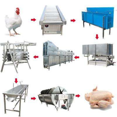 China POULTRY Qingdao Raniche Chicken Meat Procesisng Equipment/Machine for Chicken Slaughterhouse and Chicken Slaughterhouse Factory for sale