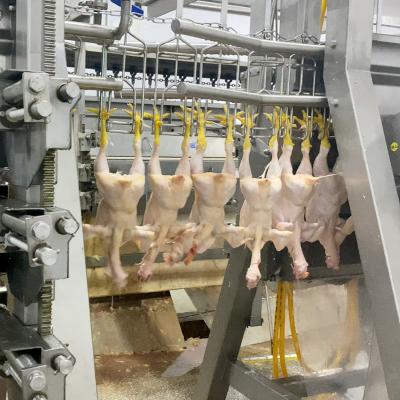 China Customized Halal Slaughter Line Chicken Broiler Slaughtering Equipment For Poultry Processing Plant for sale