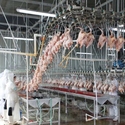 China Customized Slaughter Line Qingdao Raniche Processing Machinery Chicken Near Me Equipment Poultry Vencor Slaughterhouse for sale