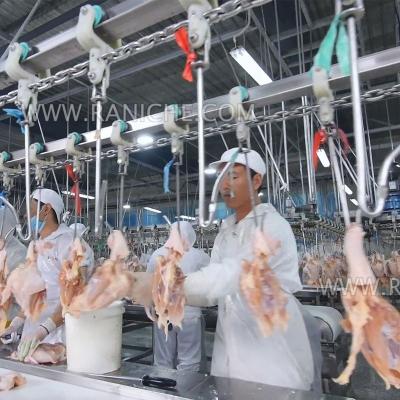 China Customized Slaughtering Line 10000 Birds Per Hour Butcher Equipment Machine For Poultry Slaughterhouse for sale