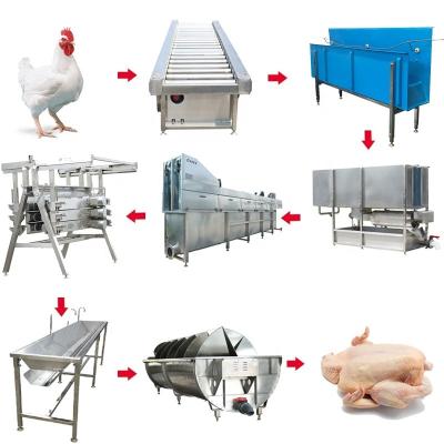 China Customized Slaughter Line Halal Meat Poultry Slaughterhouse Manufacturer Small Slaughter Machine Slaughtering Chickens House Plant For Sale for sale