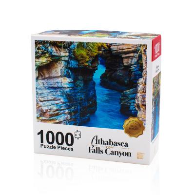 China Toy Large Educational Jigsaw Blue Cardboard 1000 Piece Art Jigsaw Puzzles For Adults for sale