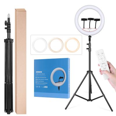 China photography & Kinscoter 14 inch LED Makeup Ring Lamp Dimmable Photography Ring Light for sale