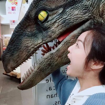 China Light and Fluctuating Wholesale Cheap Price Realistic Adult Dinosaur Costume for Wholesales, Playground Garden, for sale