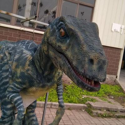 China Lightweight And Flexible Cetnology Leg-Discovered Realistic Animatronic Dinosaur Costume For Dinosaur Park for sale