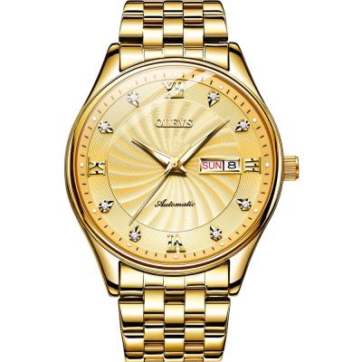 China OEM LOGO Automatic Men Watch Luxury Water Resistant Stainless Steel Automatic Movement Chain Mechanical Wrist Watch for sale