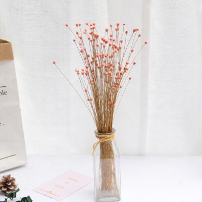 China Modern Flower 50Pcs Mini Real Happy Flower Natural Dried Flower Bouquet Dry Flowers Press Decorative Photography Photo Backdrop Decor for sale