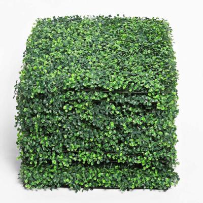 China High Quality Eco-friendly Materials Boxwood Hedge Plants Wall Panels Faux Grass Boxwood Green Artificial Wall For Indoor Outdoor Decoration for sale